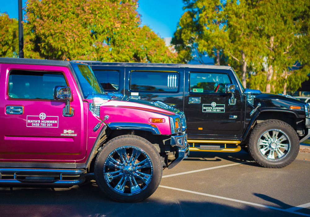 Mayas Hummer in Melbourne, photo 1
