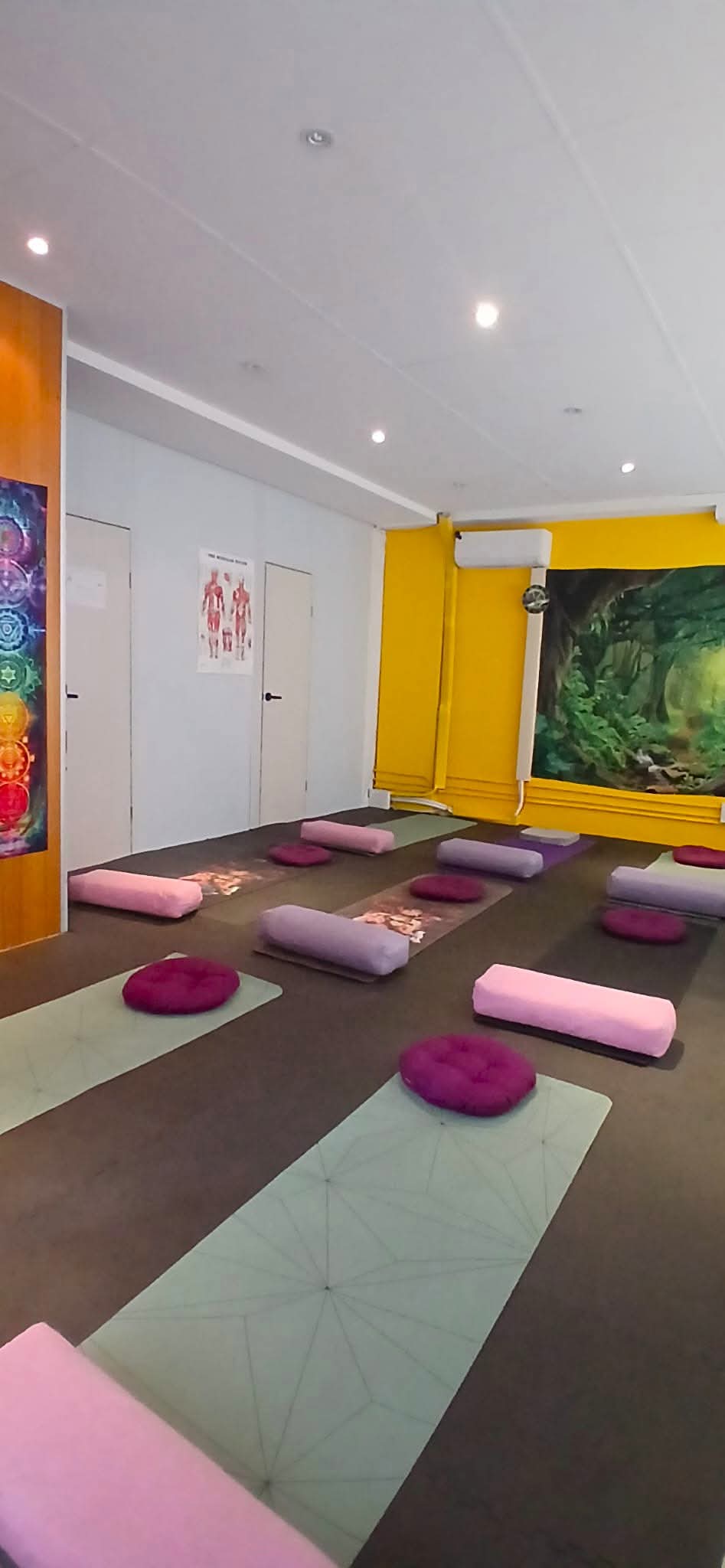 Live Life Massage & Yoga in Sydney, photo 1