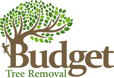 Budget Tree Removal in Brisbane, photo 1