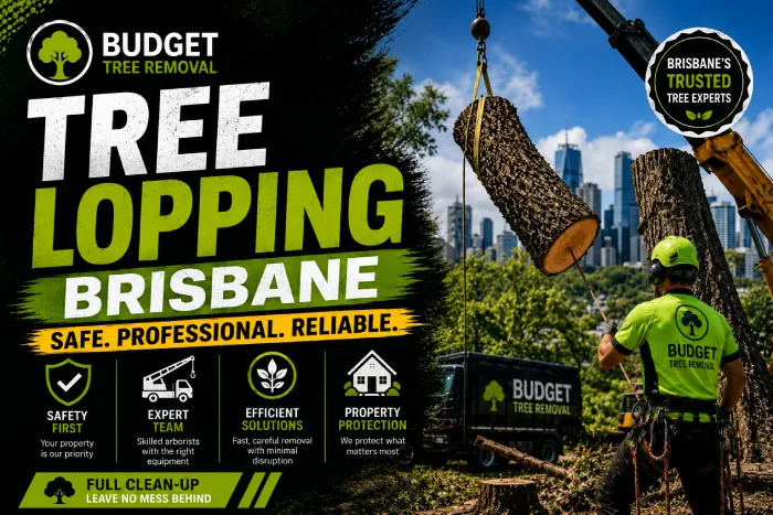 Budget Tree Removal in Brisbane, photo 2